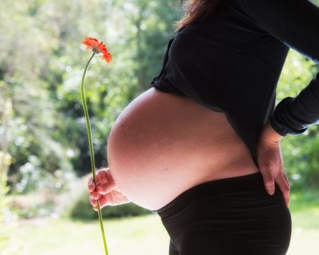 Pregnant Lady holding a flower Group B Strep Blog